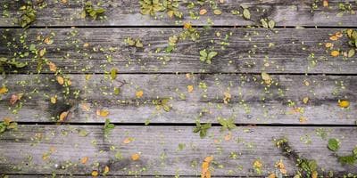 Southern Home & Garden Expo