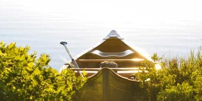 Vineyard Days