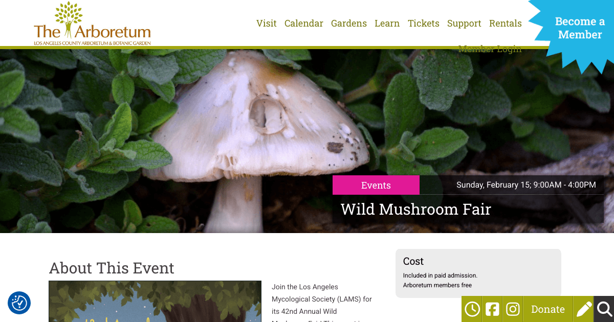 42nd Annual Wild Mushroom Fair