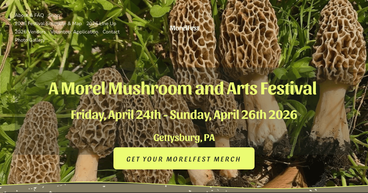 MorelFest