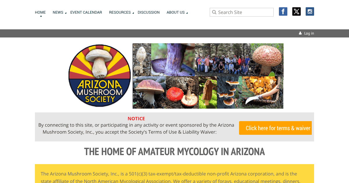 Arizona Mushroom Society Annual Foray